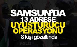 Samsun'da 13 adreste uyuşturucu operasyonu: 8 kişi gözaltında