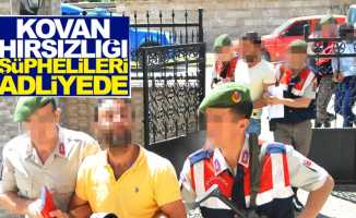 Samsun'da arı kovanı hırsızlığı şüphelileri tutuklandı