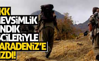 PKK mevsimlik fındık işçileriyle Karadeniz'e sızdı!