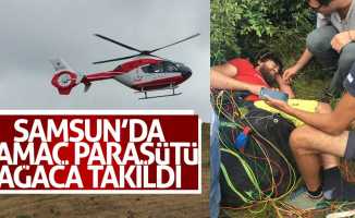 Samsun’da yamaç paraşütü ağaca takıldı