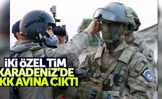 2 özel tim Karadeniz'de PKK avına çıktı