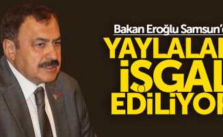Bakan Eroğlu: Vatandaşlar yaylaları işgal ediyor