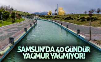 Samsun'da 40 gündür yağmur yağmıyor