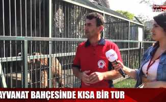 Samsun'da gezilecek yerler: Hayvanat bahçesi