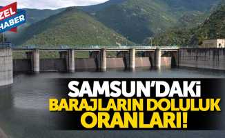 Samsun'daki barajların doluluk oranları