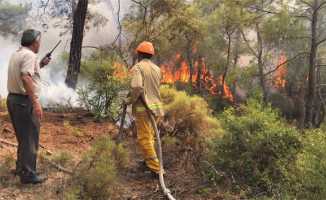 Tatil beldesi Fethiye’de orman yangını