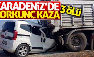 Karadeniz'de korkunç kaza: 3 ölü