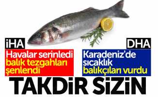 Samsun'da balık haberini iki farklı ajans farklı gördü