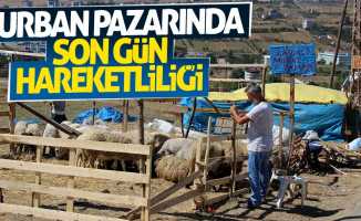 Samsun'da kurban pazarında son gün hareketliliği