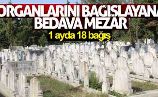 Samsun'da organ bağışlayana mezar bedava