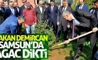 Bakan Demircan Samsun'da ağaç dikti