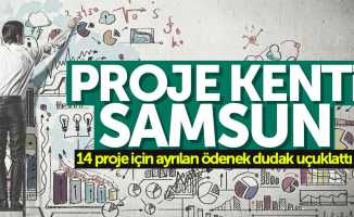 Samsun'da 14 projeye 49 milyon yatırım