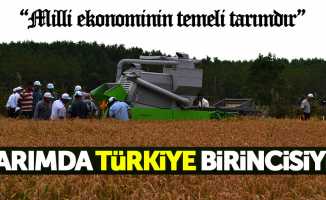 Samsun tarımda Türkiye birincisi