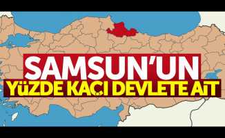 Samsun'un yüzde kaçı devlete ait