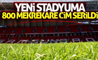 Samsunspor'un stadına 800 metrekarelik yeni çim serildi