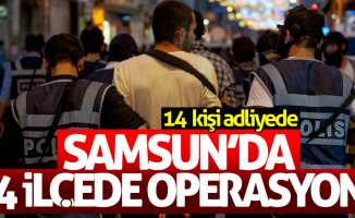 Samsun'da 4 ilçede operasyon: 14 kişi adliyede