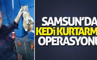 Samsun'da kedi kurtarma operasyonu