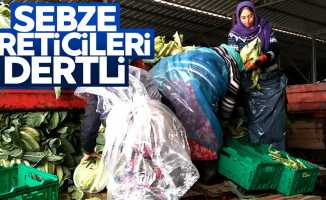 Samsun'daki sebze üreticileri dertli