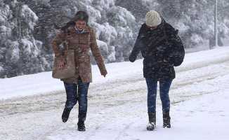 Ardahan'da okullar tatil mi? Kar yağışı yeniden başlıyor