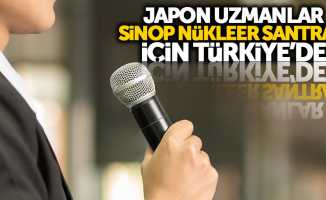 Japonlar Sinop nükleer santrali için Türkiye'de