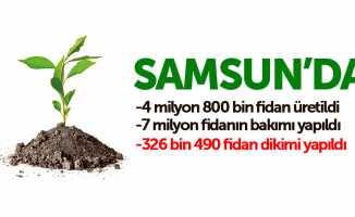 Samsun'da 4 milyon fidan üretildi