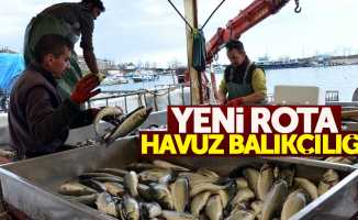 Balıkçıların yeni rotası: Havuz balıkçılığı