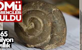 OMÜ öğrencileri 65 milyon yıllık fosil buldu