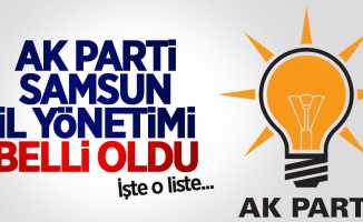 AK Parti Samsun İl Yönetimi belli oldu: İşte o liste