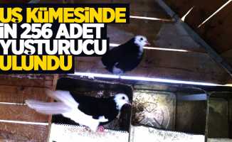 Samsun'da kuş kümesinde uyuşturucu bulundu