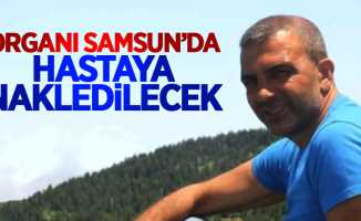 Trabzonlu Kutoğlu'nun organı Samsun'da hayat bulacak