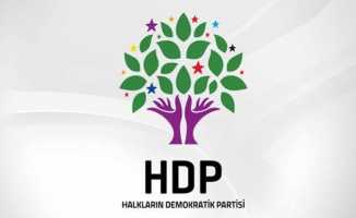 HDP Samsun'da oylarını arttırdı