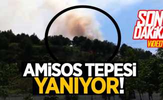Samsun Amisos Tepesi'nde yangın çıktı