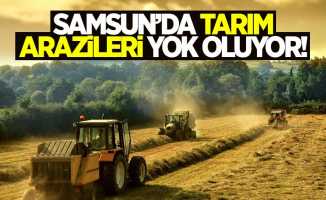 Samsun'da tarım arazileri yüzde 13 oranında yok oldu