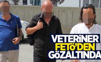 Samsun'da veteriner hekim FETÖ'den gözaltına alındı