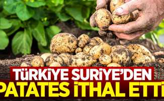 Türkiye Suriye'den patates ithal etti