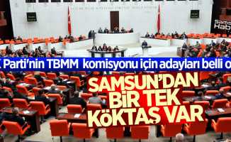 AK Parti'nin TBMM  komisyonu için adayları belli oldu