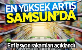 Aylık en yüksek enflasyon artışı Samsun'da oldu