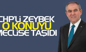 CHP’li Zeybek o konuyu meclise taşıdı