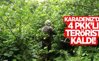 Karadeniz'de 4 PKK'lı terörist kaldı