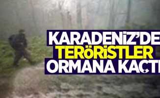 Karadeniz'de teröristler ormanlık alana kaçtı