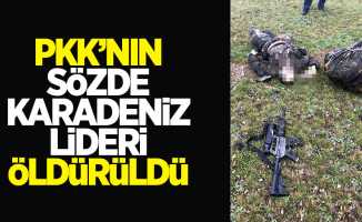 PKK'nın sözde Karadeniz lideri öldürüldü