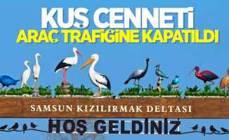 Samsun Kuş Cenneti araç trafiğine kapatıldı