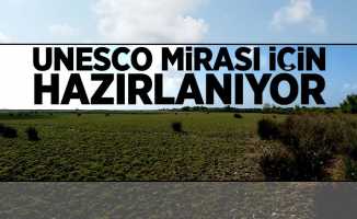 Kızılırmak Deltası UNESCO mirası için hazırlanıyor