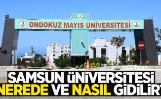 Samsun Üniversitesi nerede ve nasıl gidilir?