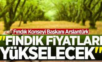 Fındık Konseyi Başkanı Arslantürk: Fındık fiyatları yükselecek