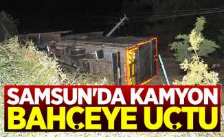 Samsun'da kamyon bahçeye uçtu: 1 yaralı