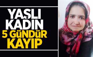 Samsun'da yaşlı kadın 5 gündür kayıp