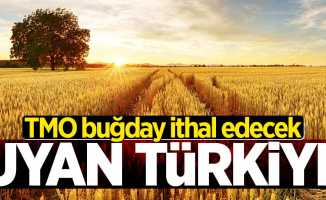 Uyan Türkiye! TMO buğday ithal edecek...