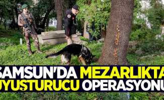 Samsun'da mezarlıkta uyuşturucu operasyonu