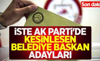 AK Parti'de kesinleşen belediye başkan adayları